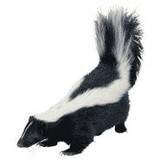 skunk2