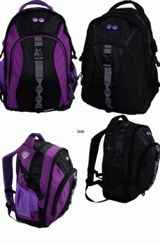 Black Backpack with padded straps and lots of room to hike stuff around in.