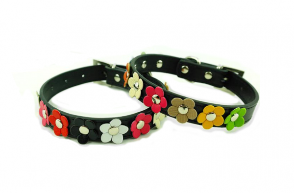 Black leather dog collar with multi-colored 3D leather flowers attached by silver studs.