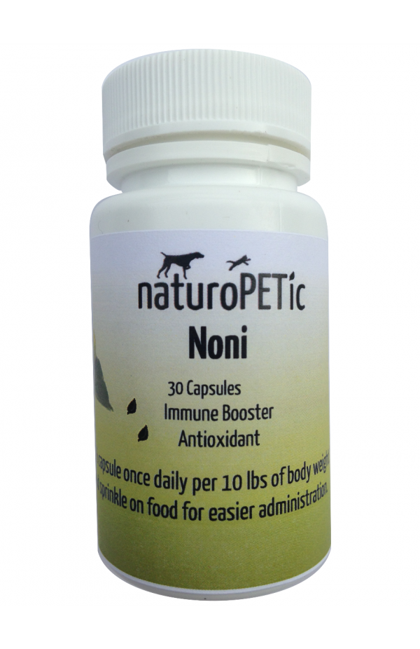 Noni fruit - antioxidant supplement for immune system and overall health
