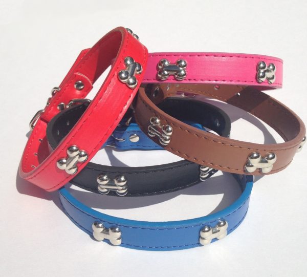 leather dog collar with silver bone studs red black brown blue pink