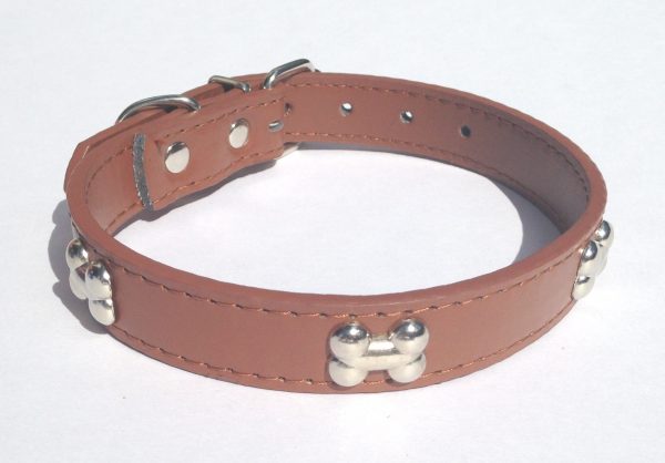 leather dog collar with silver bone studs red black brown blue pink