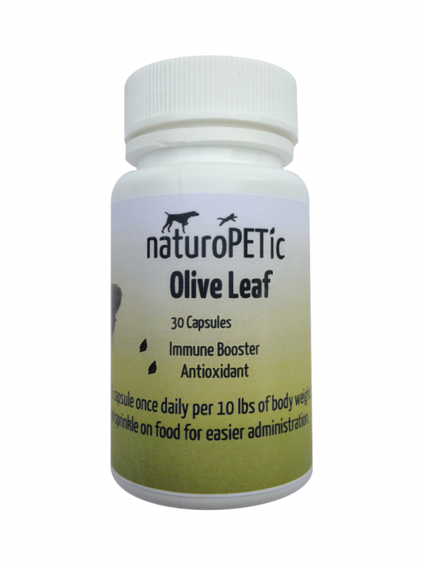 olive leaf antioxidant supplement for dogs and cats
