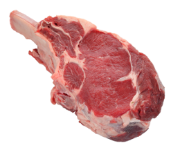 raw meat on bone