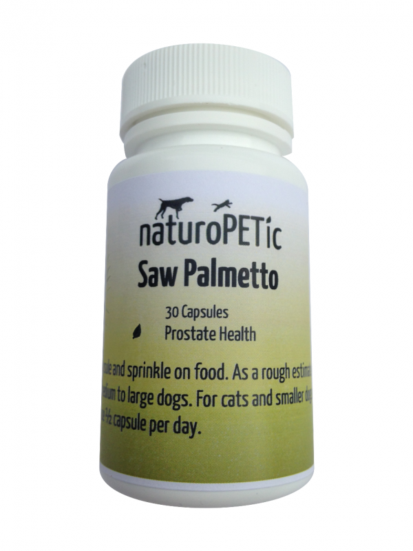 saw palmetto supplement for prostate cancer